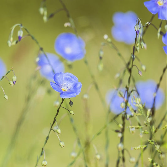 Psychologische Einzelberatung (telefonisch)